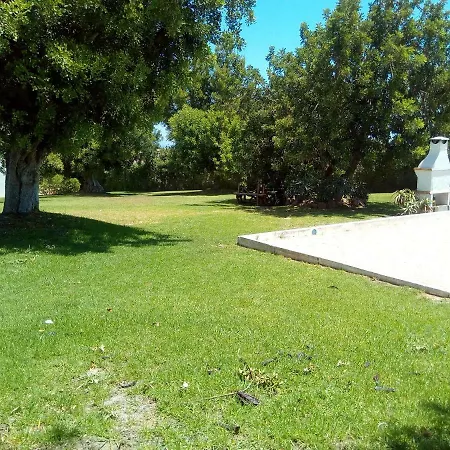 Garden *